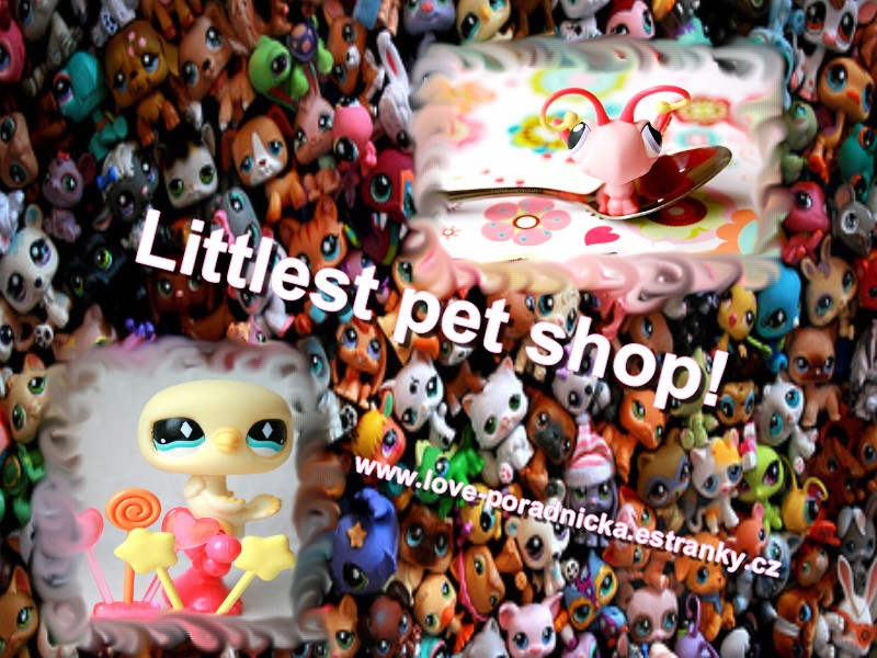 Littlest pet shoop56665.jpg